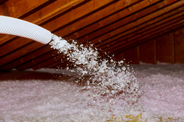 Best Energy Efficiency Solutions in Woodsboro, MD