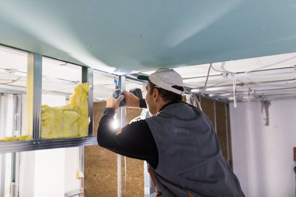Best Commercial Insulation in Woodsboro, MD