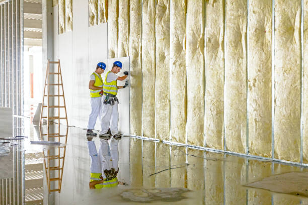 Best Types of Insulation in Woodsboro, MD